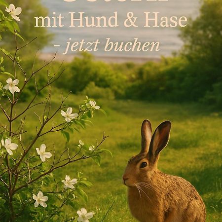 Fewo Ostseele - Julchen Timmendorfer Strand Esterno foto